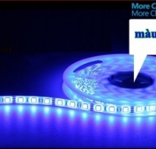 dây led dan xanh dương