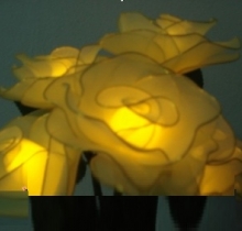 hoa đèn led hoa hồng