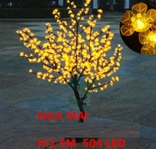 Cây hoa mai trang trí tết