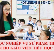 Khóa học nghiệp vụ sư phạm cho giáo viên tiếng Anh tiểu học