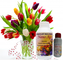 Dung dịch giữ hoa tươi lâu Nano-ag