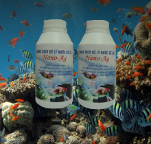 Dung dịch xử lý nước bể cá Nano-Ag