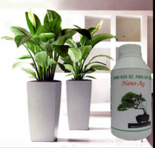 Dung dịch xịt, phun cây trồng Nano-Ag